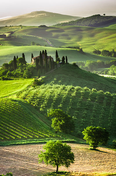 food passion italia